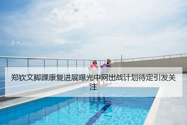 郑钦文脚踝康复进展曝光中网出战计划待定引发关注